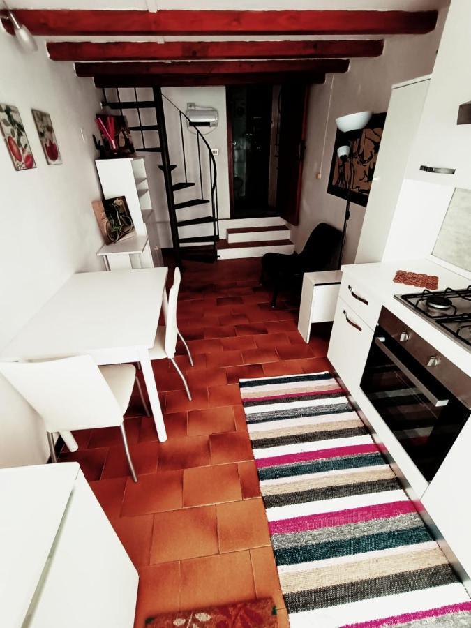 ピサCasa Della Spinaアパートメント エクステリア 写真